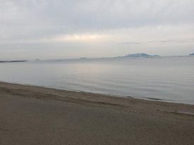 朝の新舞子海岸
